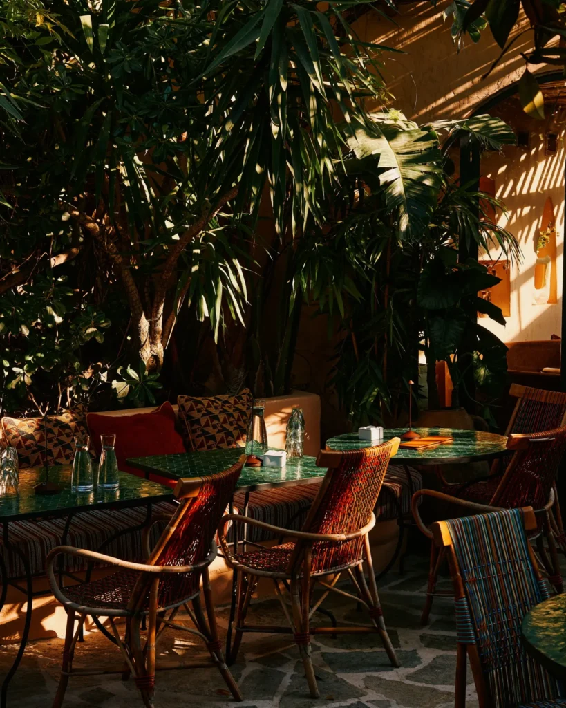 Outdoor seating surrounded by tropical plants at Salama Saint-Tropez