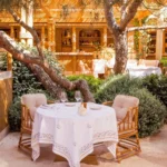Table for two under a pine with the bar behind at Gigi Rigolatto Saint-Tropez