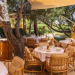 Rattan tables under a yellow sail canopy around a pine trunk at Gigi Rigolatto Saint-Tropez