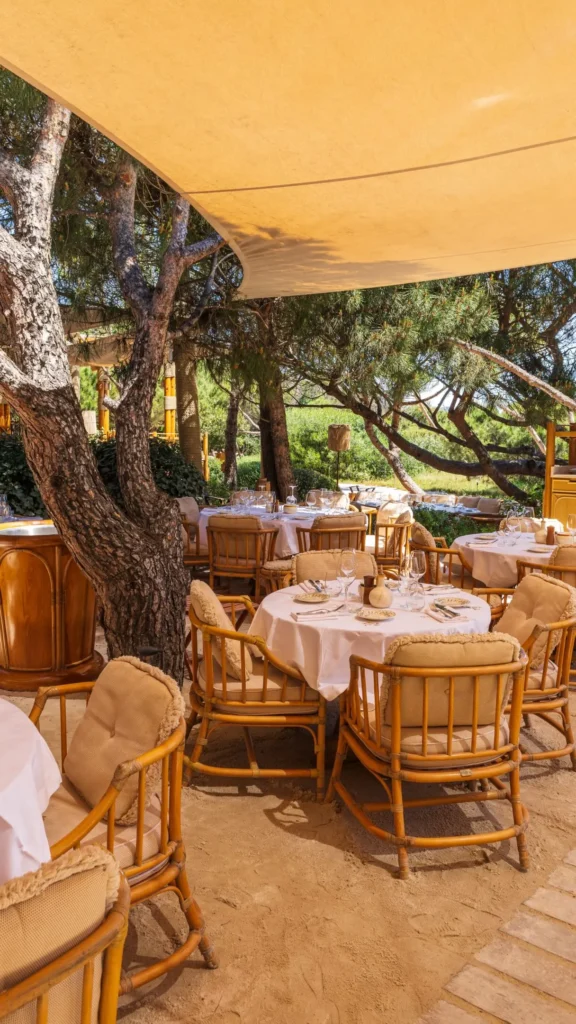 Rattan tables under a yellow sail canopy around a pine trunk at Gigi Rigolatto Saint-Tropez