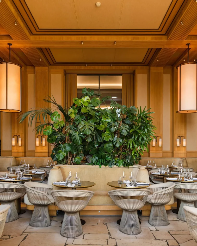 Dining room with wire chairs, cylindrical pendants and a large central monstera at Girafe Paris