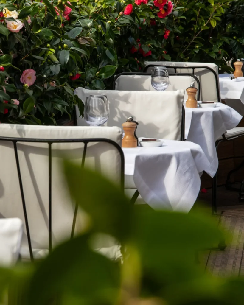 White-clothed terrace tables and cushioned chairs beside blooming camellias at lavenue Paris