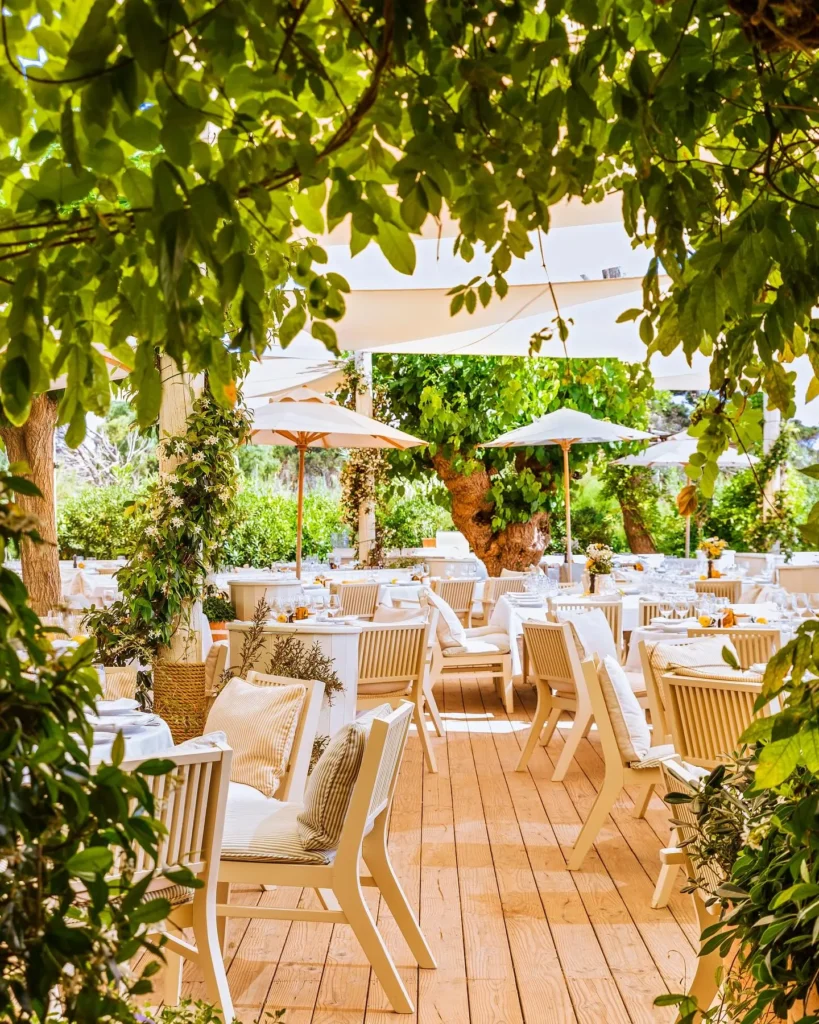 Dining terrace framed by climbing greenery and parasols at Loulou Restaurant Saint-Tropez