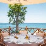 Round table set beneath a citrus tree with the sea beyond at Loulou Restaurant Saint-Tropez