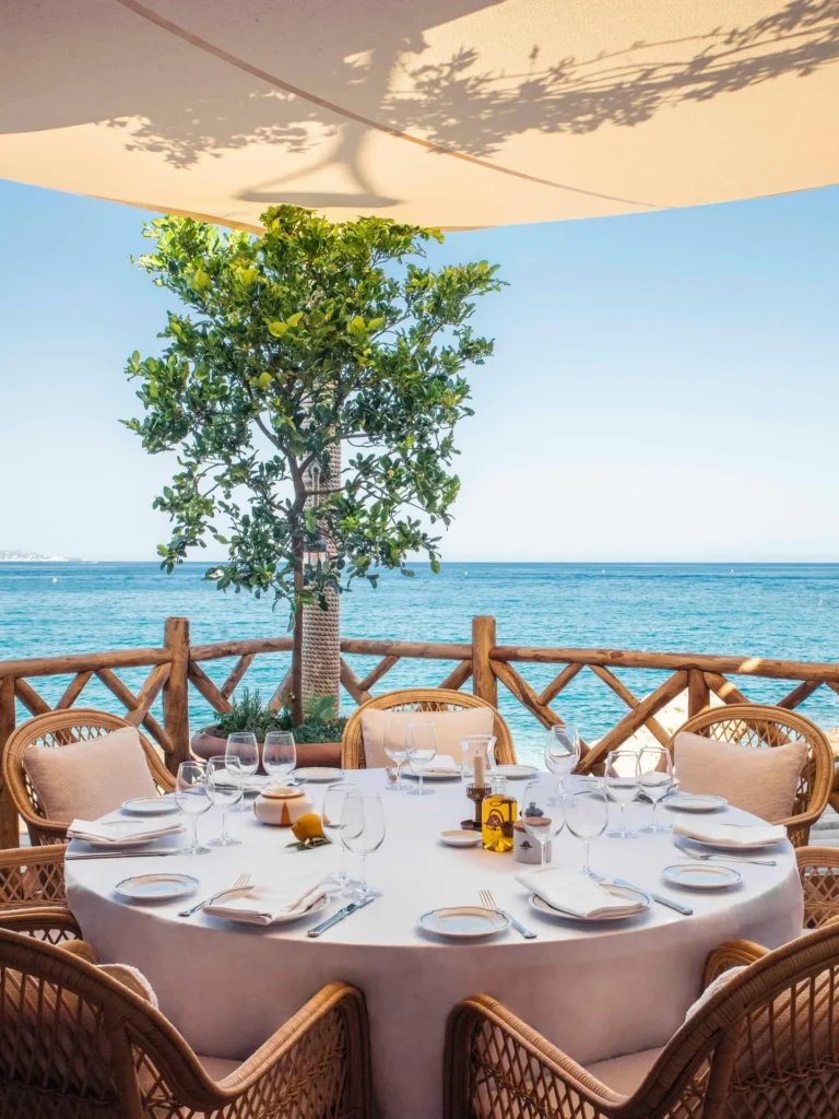 Round table set beneath a citrus tree with the sea beyond at Loulou Restaurant Saint-Tropez