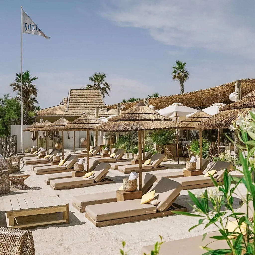 Rows of sunbeds under thatched parasols with the Shellona flag and palms at Shellona Saint-Tropez