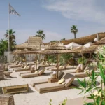 Rows of sunbeds under thatched parasols with the Shellona flag and palms at Shellona Saint-Tropez