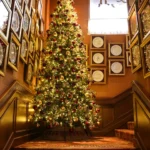 Christmas tree and festive decorations inside Siena Paris restaurant