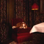 Rich red bedroom interior with velvet furnishings at Hotel Costes