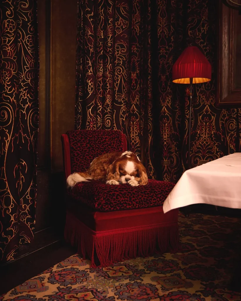 Rich red bedroom interior with velvet furnishings at Hotel Costes
