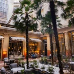 Lush courtyard with palm trees and outdoor seating at the Prince de Galles Paris