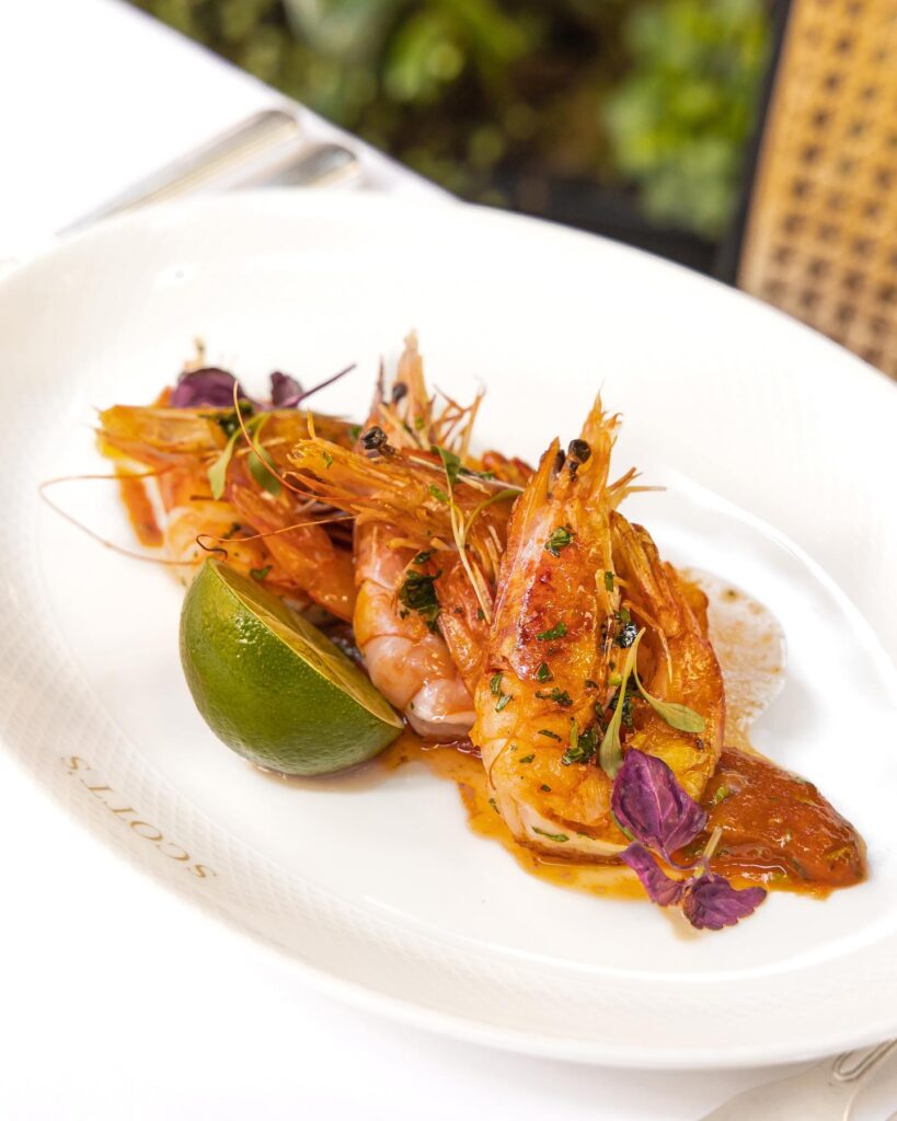 Seafood dish presented on a plate at Scott's Mayfair in London